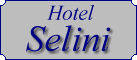 Logo, SELINI HOTEL, Vitsa, Zagori, Ioannina, Epirus